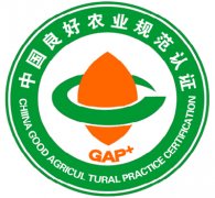 GAP认证咨询